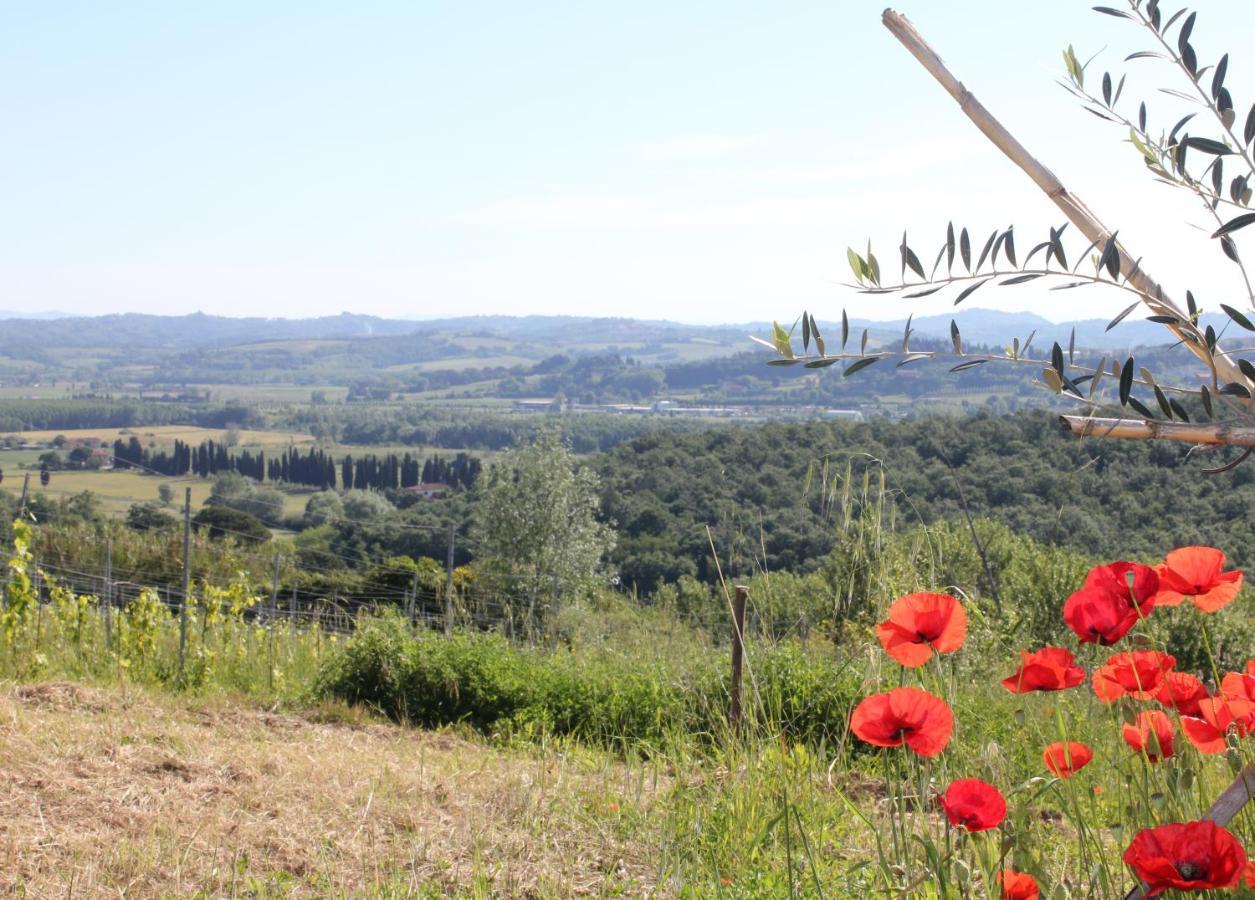 Tuscany Life Terricciola ภายนอก รูปภาพ